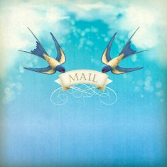 Swallows mail vintage postcard