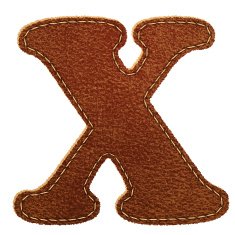 Leather textured letter X