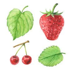 Watercolor set isolated berries and leaves