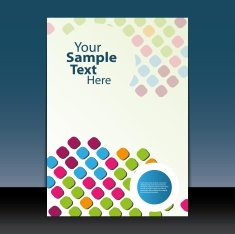 Cover or Flyer Design N2