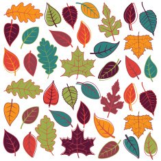 Large Vector Set of Abstract Autumn Leaves