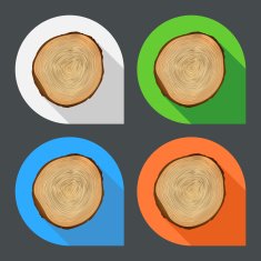 Tree growth rings flat icons