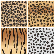 Animal patterns of tiger and leopard