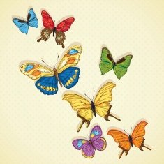 Butterfly icons N15