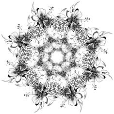 Roses and camomiles Mandala freehand drawing ornament pattern N11