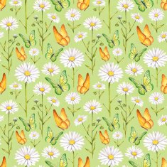 Camomile flowers and butterflies illustration