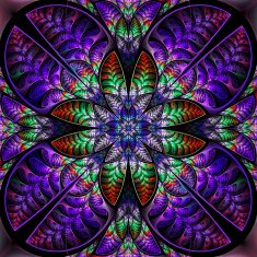 Multicolor symmetric pattern of the leaves N5
