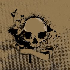 Skull grunge background
