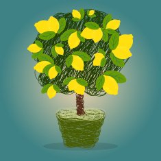 Lemon tree in a pot scribble style vector