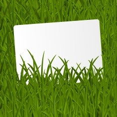 Grass texture with paper card