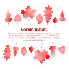 Autumn watercolor red leaves