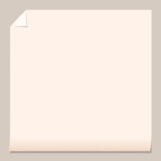 Sheet of paper N11