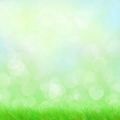 Blue sky and green field N2