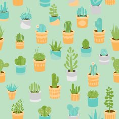Succulents N4