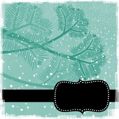 Winter pine tree branches