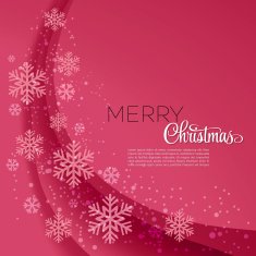 Merry Christmas greeting card with snowflakes N17