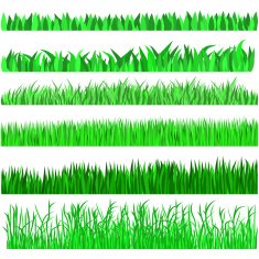 Green Grass Set Hand drawn