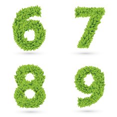 Numbers of green leaves collection N2