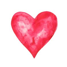 Watercolor red heart isolated