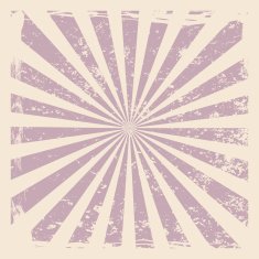 Vintage rising sun or ray sun burst retro background N4