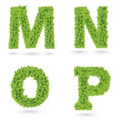 Letters of green leaves collection N4