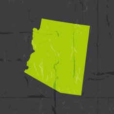 Detailed map of Arizona state grunge style N2