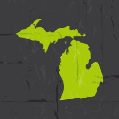 Detailed map of michigan state grunge style N2