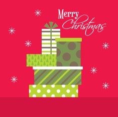Christmas gift N31