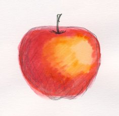Painted watercolor apple