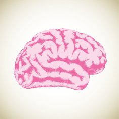 Human Brain N52