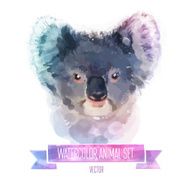 Vector set of watercolor illustrations Cute coala