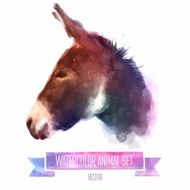 Vector set of watercolor illustrations Cute donkey