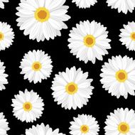 Seamless background with daisy flowers on black Vector illustration