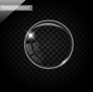 Elegant transparent bubbles on black background vector N3