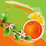 Abstract background with fresh orange