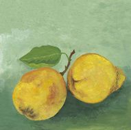 Two quinces