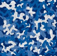 camouflage texture N2