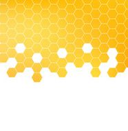 Honey pattern vector illustration N11