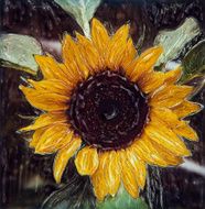 Sunflower N25