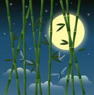 bamboo and dragonflies on the night sky background with moon