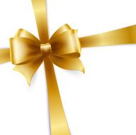 Invitation card with Gold holiday ribbon and bow N3