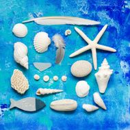 beach stuff collection