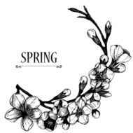 hand drawn blooming fruit tree twig illustration N7