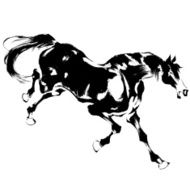 Japanese horse N5