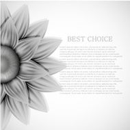 Vector flower background Eps10 N3