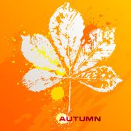 Autumn leaf of chestnut N3