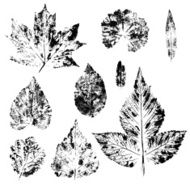 Watercolor set leaves print