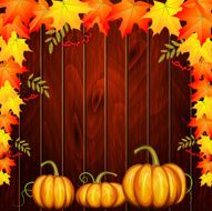 BACKGROUND N748