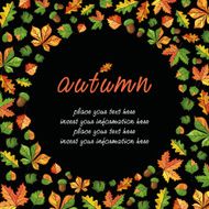 autumn leaves N163