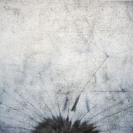 Dandelion N48